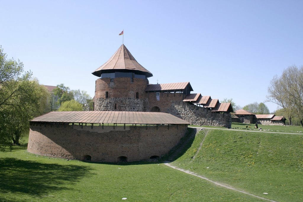 каунасский замок литва фото