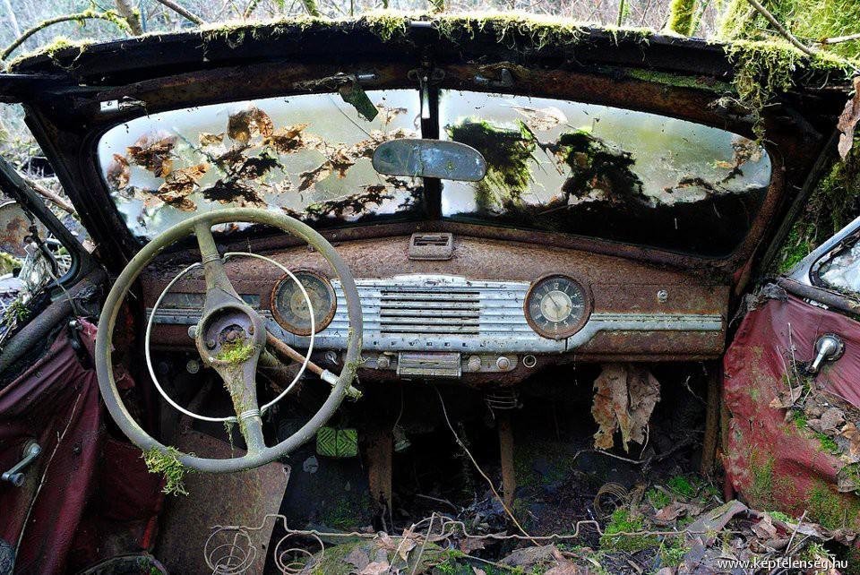 заброшенные автомобили фото