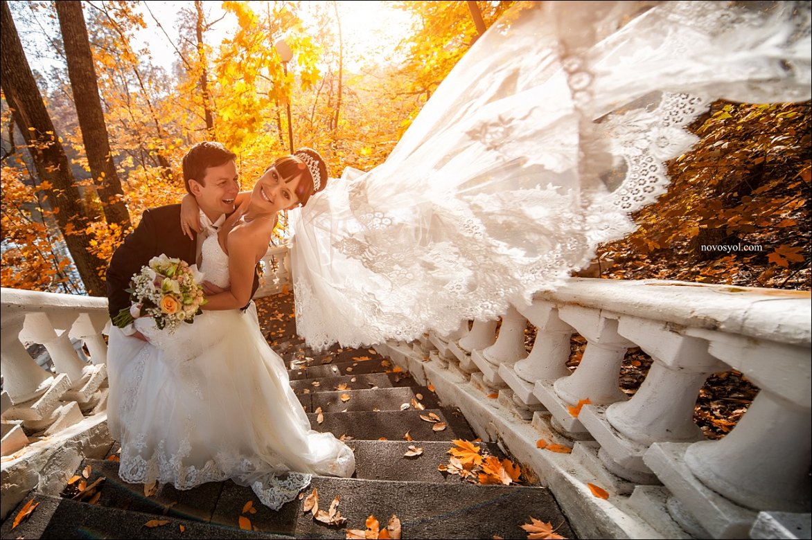 �������� ������� ����� ������