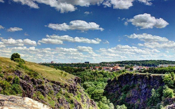 дивока шарка прага фото