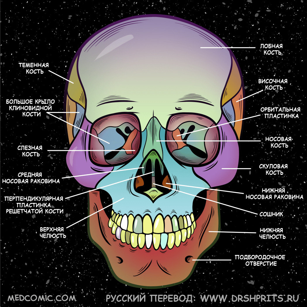 Слайм своими руками