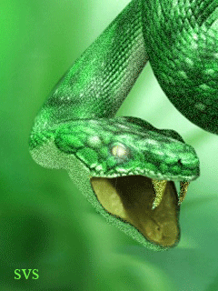 Скачать бесплатно анимированные картинки на телефон 240х320