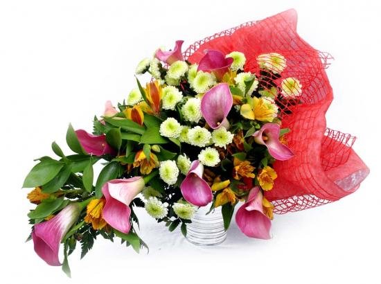 Сурална кун ячепе саламлатап ырлах сывлах сунатап картинки