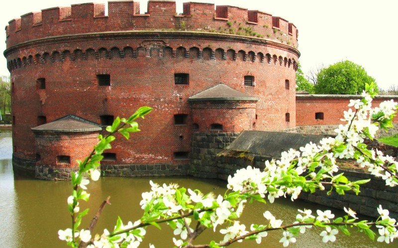башня дона калининград фото