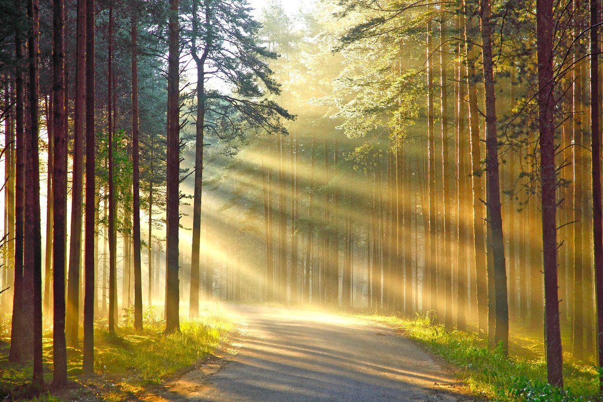 лучи солнца фото