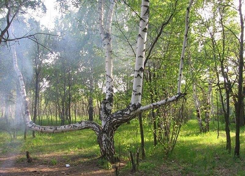медведицкая гряда чертово логово фото