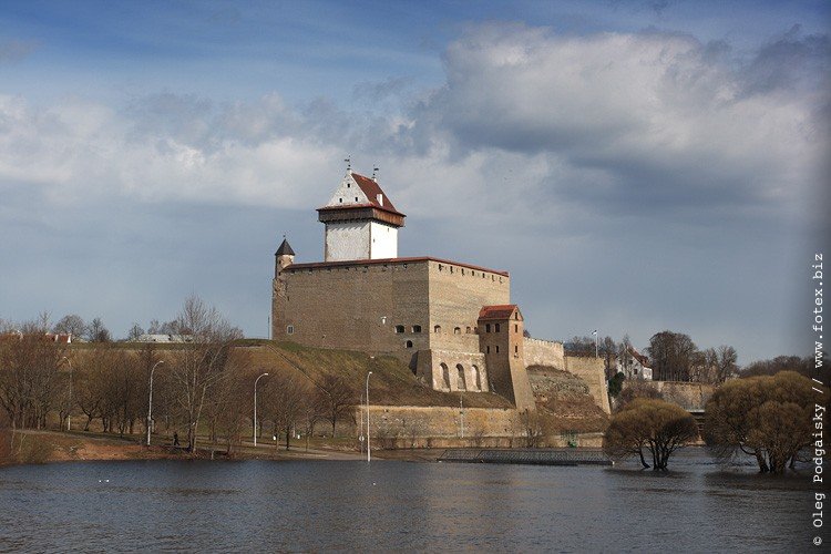 крепость нарва фото