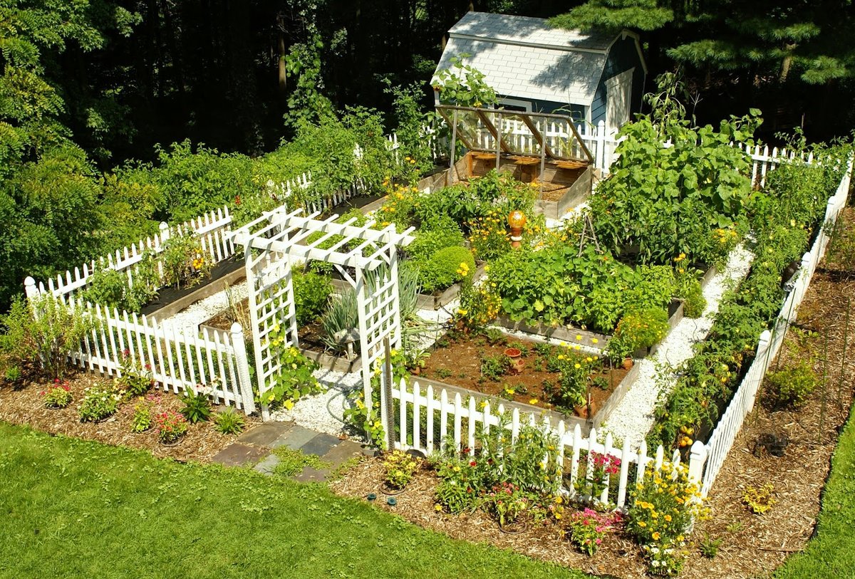 как организовать огород на даче