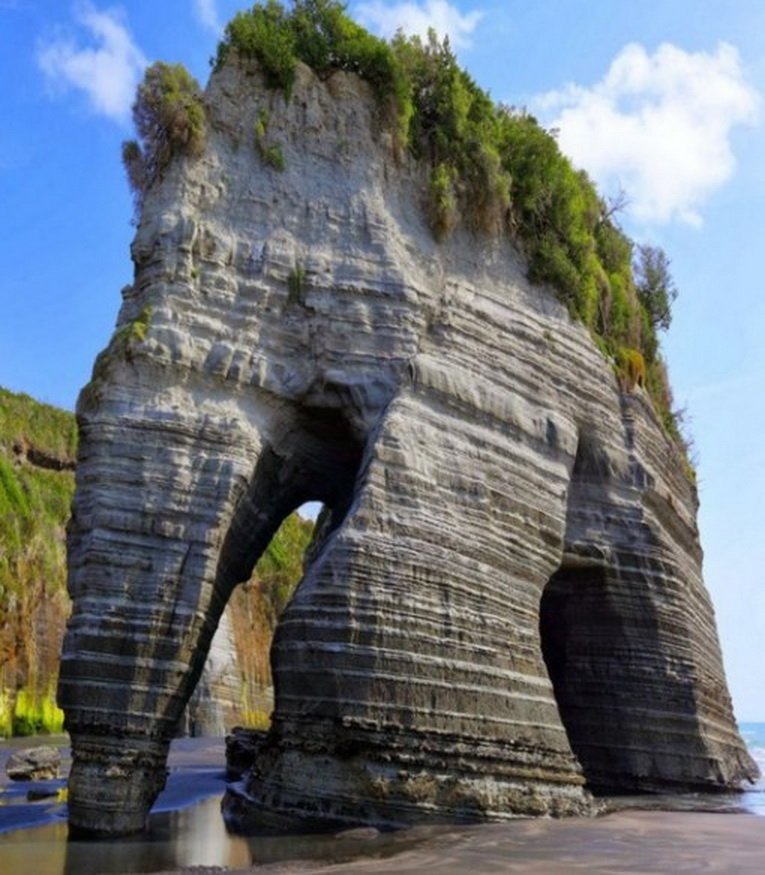 Элефант Рок (Elephant Rock).В Новой Зеландии есть немало удивительных скальных образований, но нет ничего более необычного, чем скала в форме слона.

Необычная скала находится среди огромных выветрившихся известняковых скал на территории частной фермы в 5 км к югу от города Дантрун (Duntroon) в Северном Отаго.

Область вокруг Дантруна известна своей интересной геологией и сохранившимися в причудливой форме окаменелостями. .