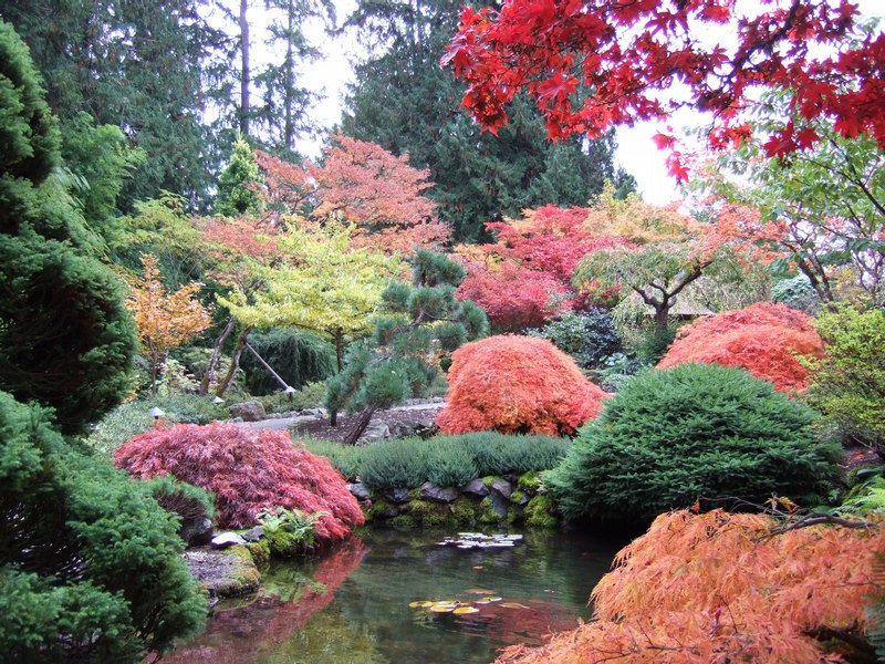 "сады бутчартов (the butchart gardens) ванкувер, канада фото