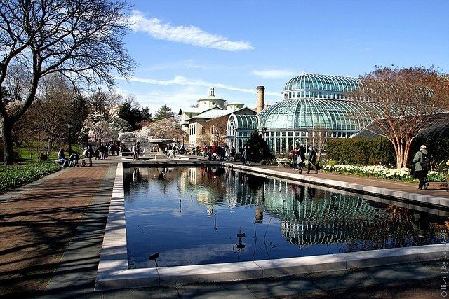 бруклинский ботанический сад, сша, нью-йорк фото