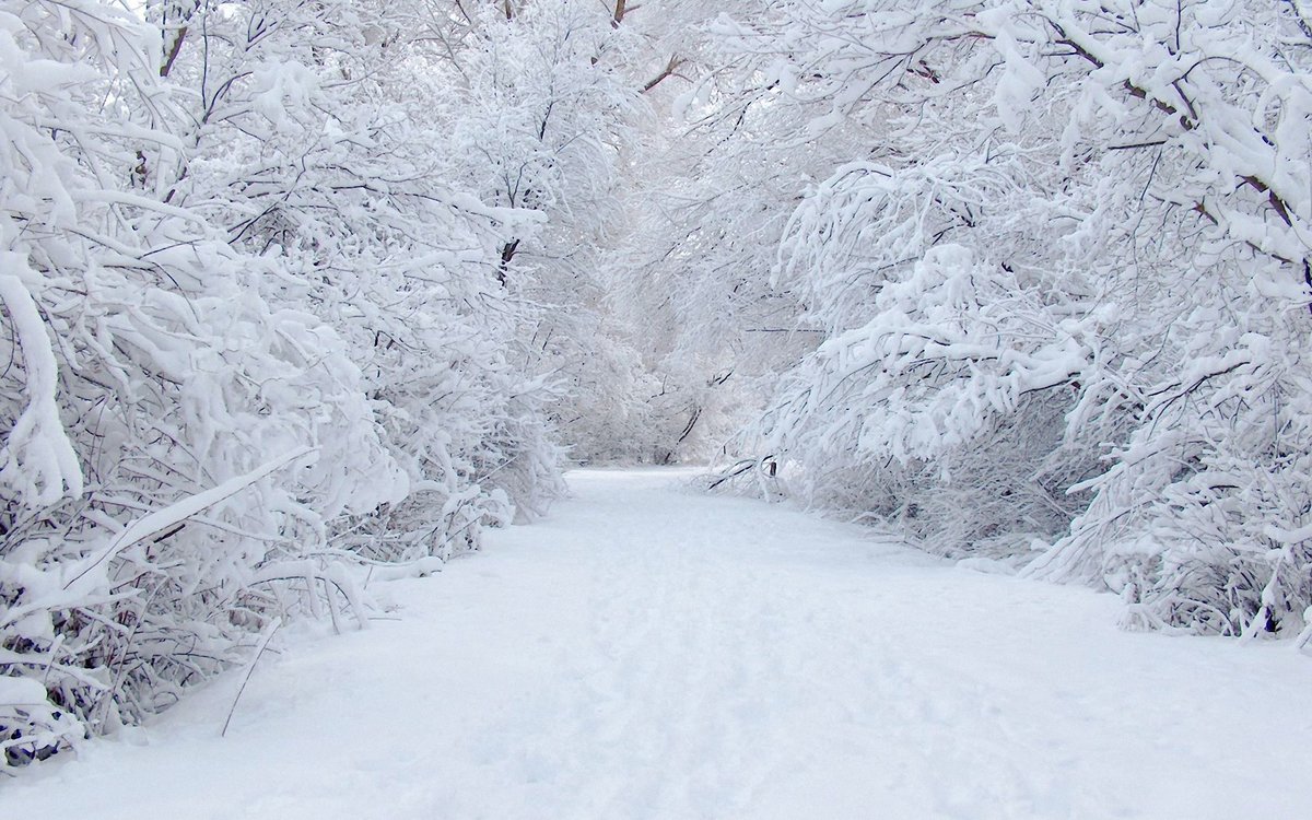 снег фото