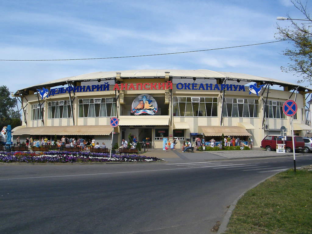 дельфинарий анапа джемете фото