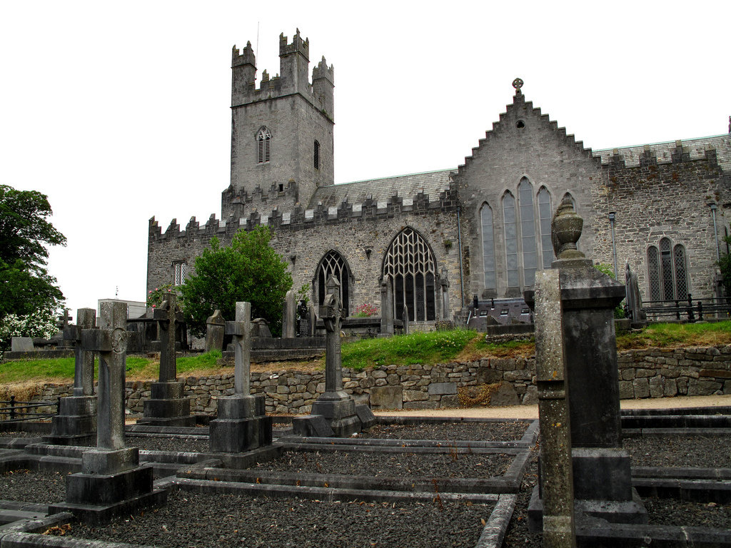 ирландия limerick собор святой девы марии фото
