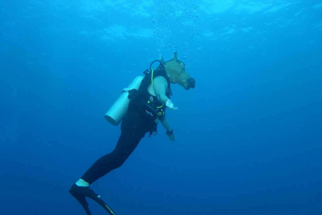 ������ ����� ���������� ���������� �������� ���� �������� ���