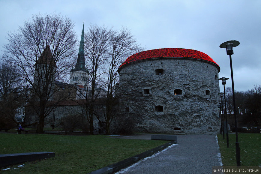 толстая маргарита в таллине фото