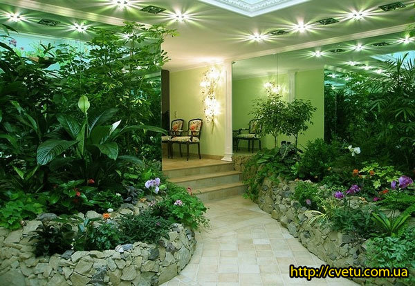 фитодизайн фото