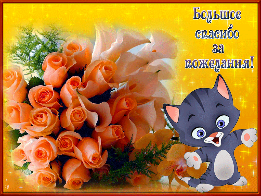 ������� �� ������������ �������� � ��������� ��������, �������� ���