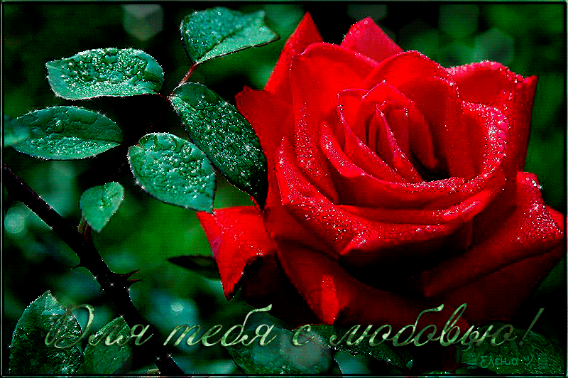 �������� �����, ��� �������� ���� ��� ����