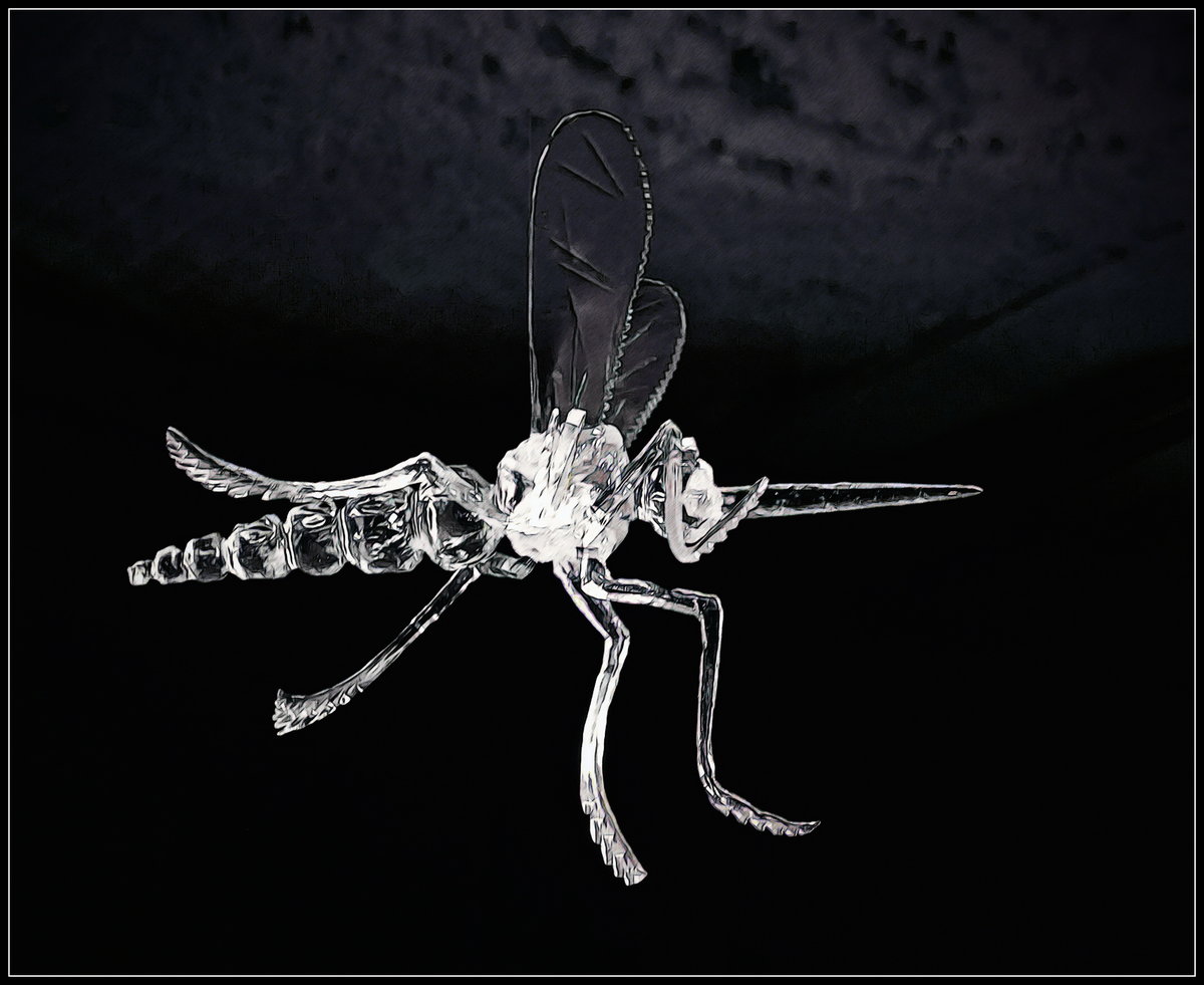 Ледяной комарик