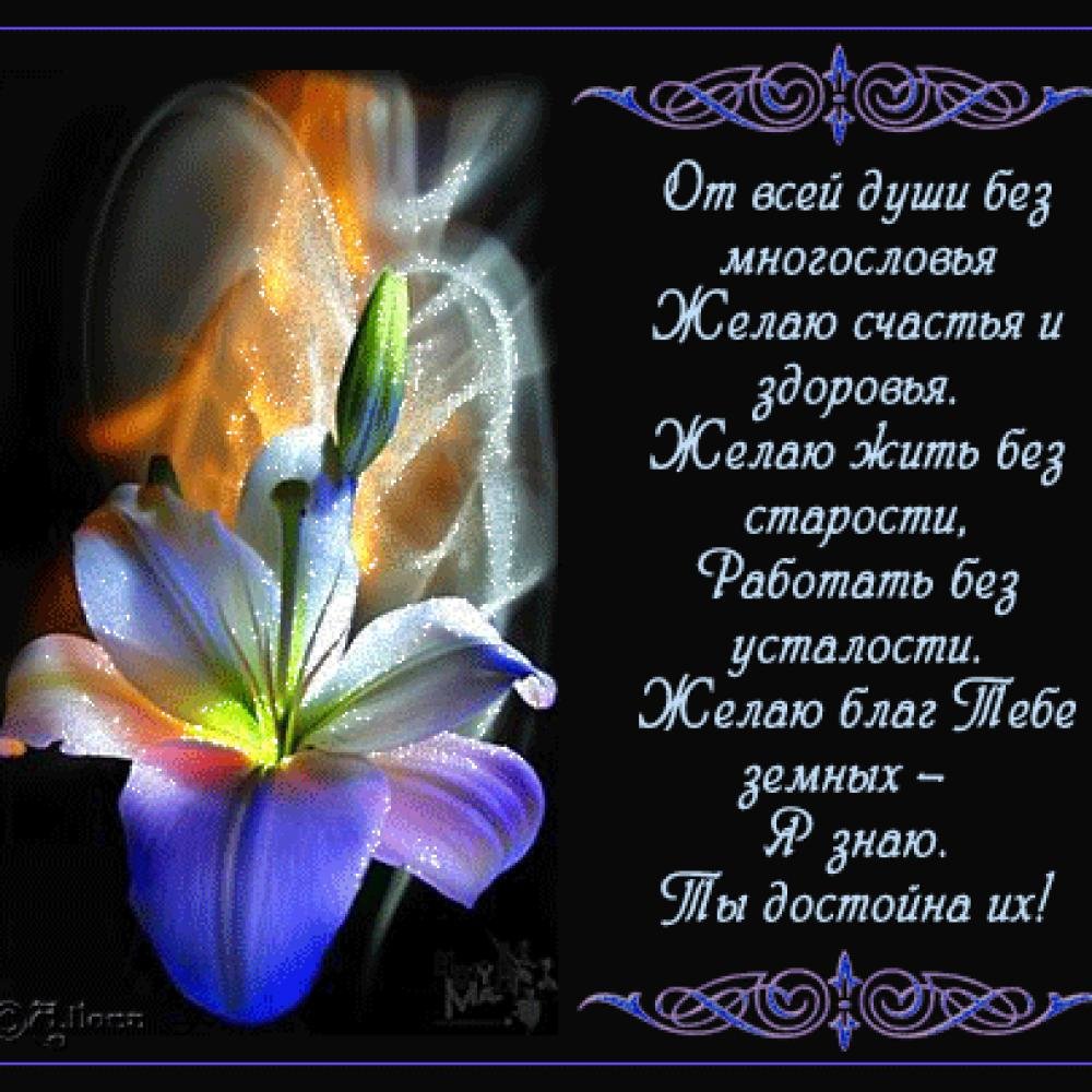 ����� �������� �������� �� �������