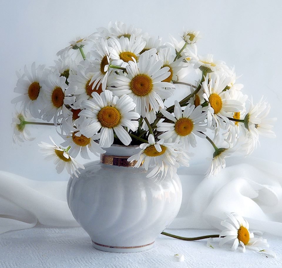 �������� ������ ��������