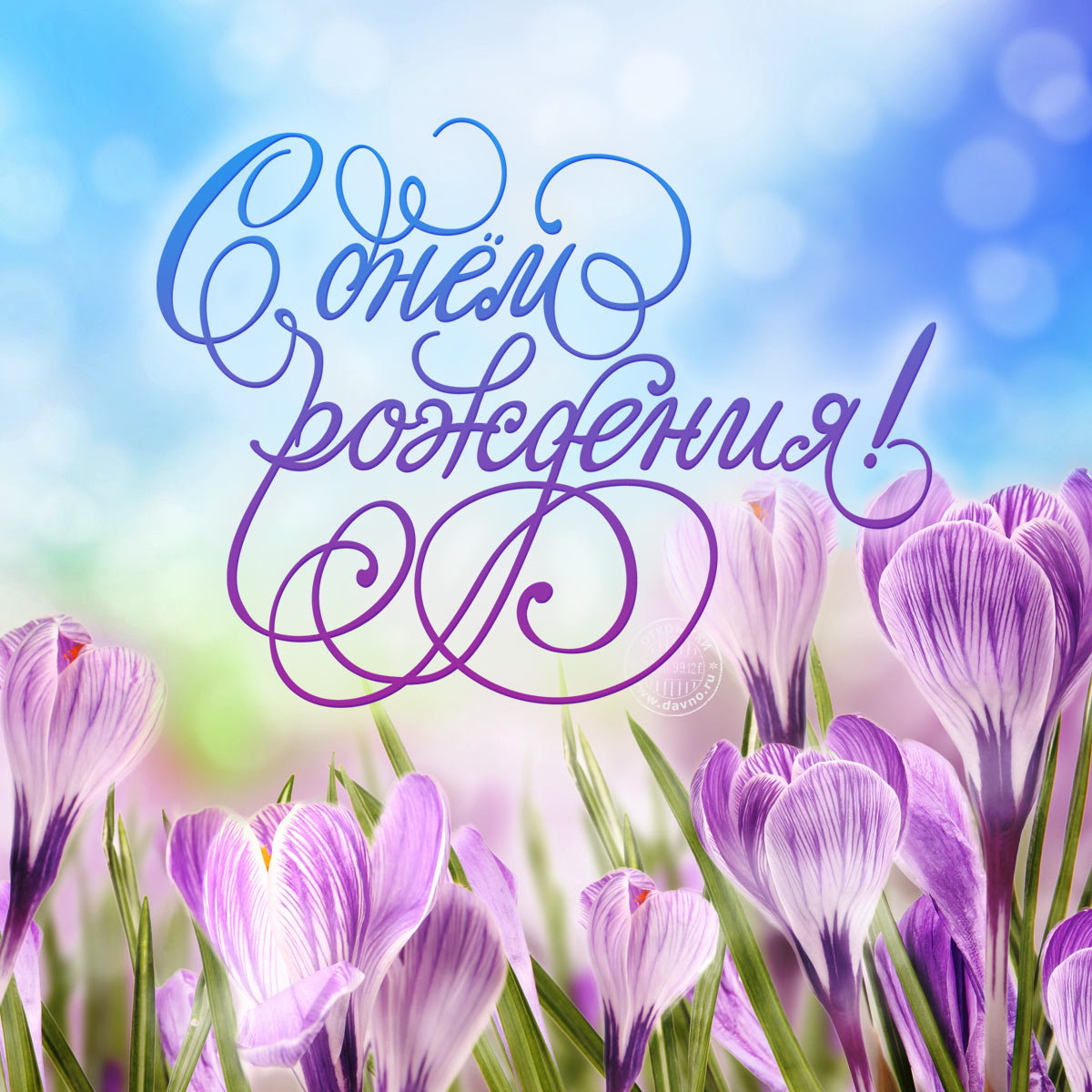 �������� �������� � ������� � ���� �������� �������, �������� �����