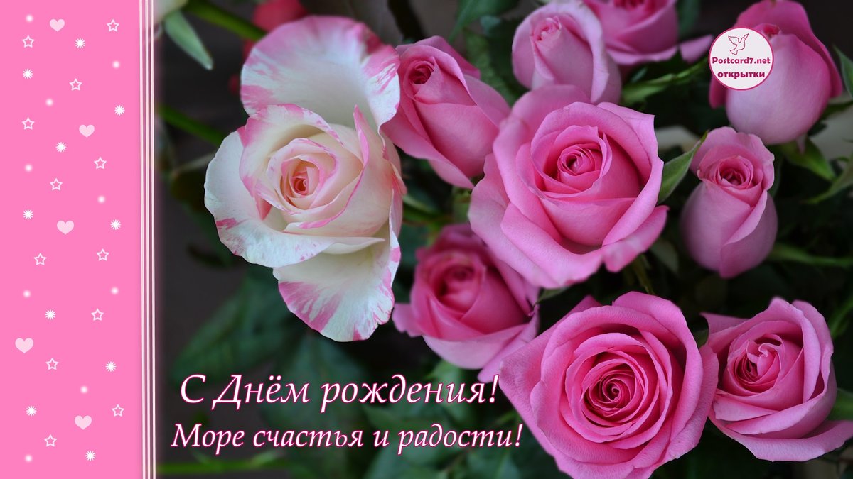 � ���� �������� �������� �������