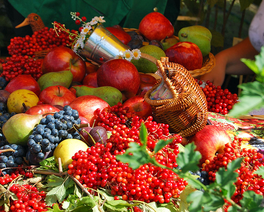 ��� ���������, ���� ������� ��������