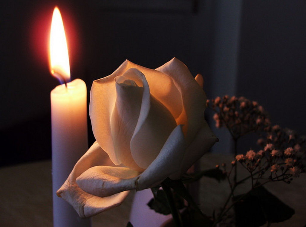 �������� �� 40 ���� �� ��� ������ ����, ������ ���� ��������