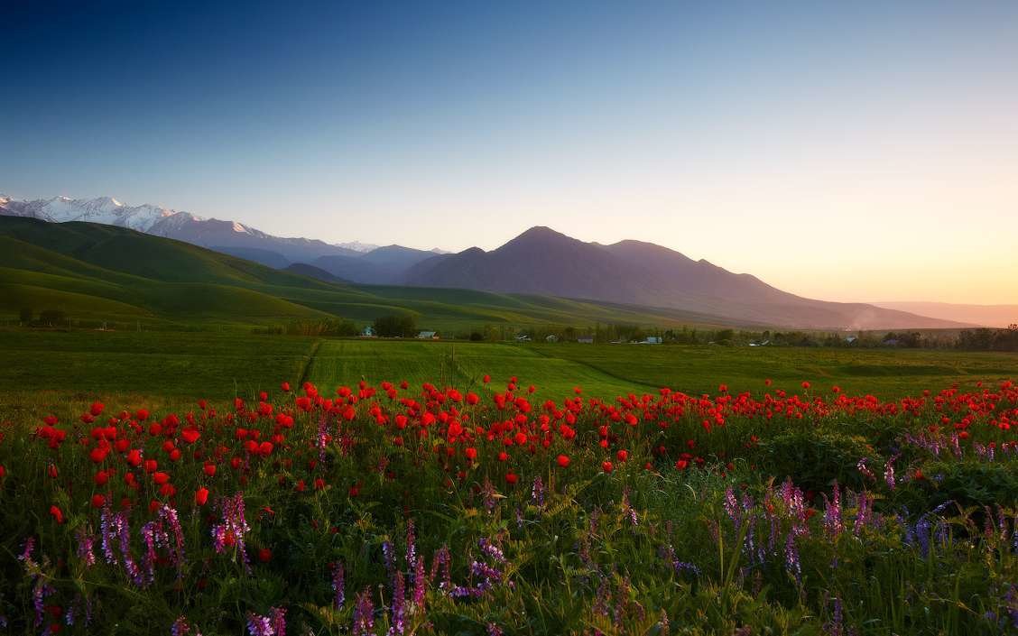 �������� �����������, ������� ��� ��������