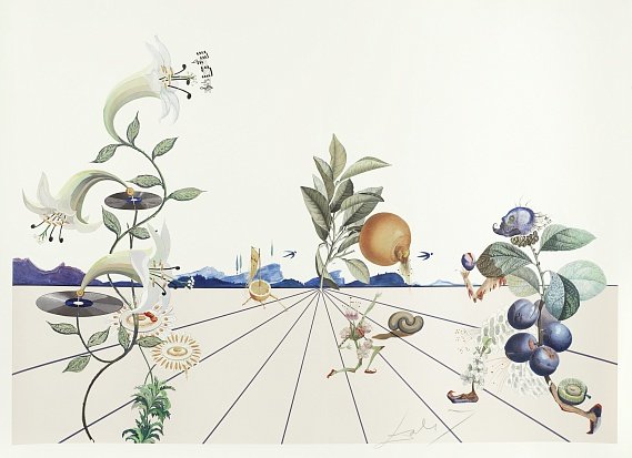 salvador dali "flordali les fruits. gooseberry" фото