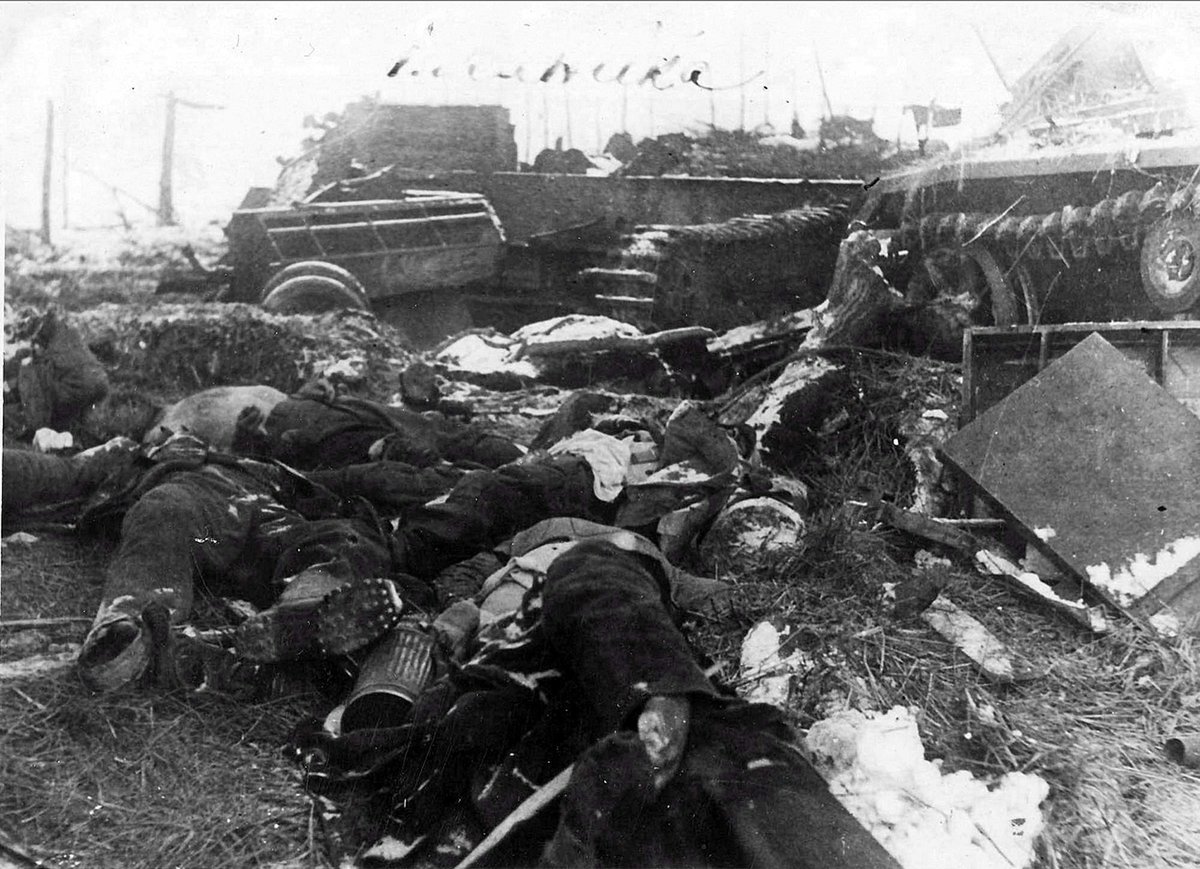 война 1941-1945 трупы фото