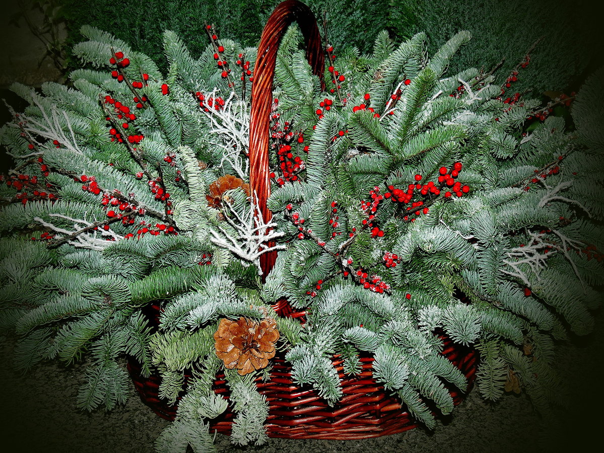 ����� ����� ������ ���������� ������ �� ������ ���� ���������