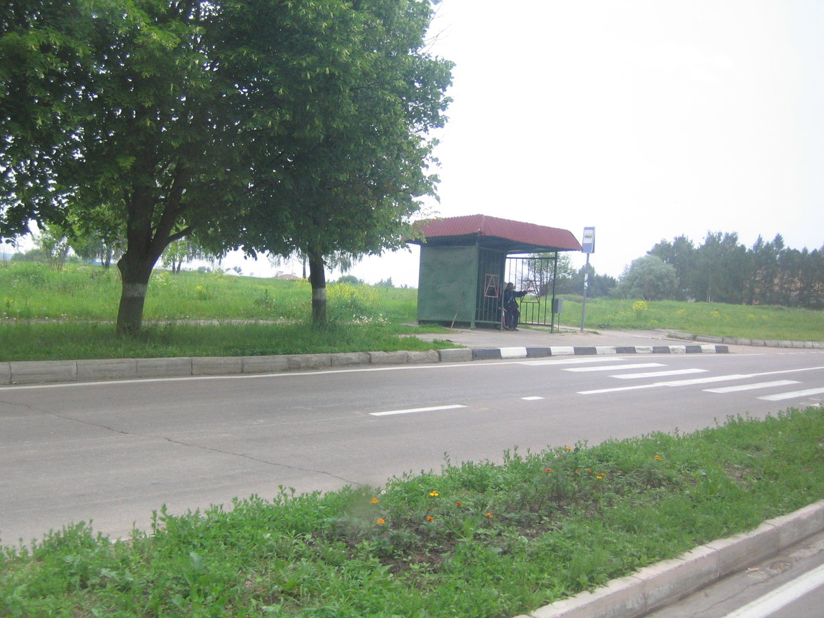 автобусная остановка в добрынихе фото