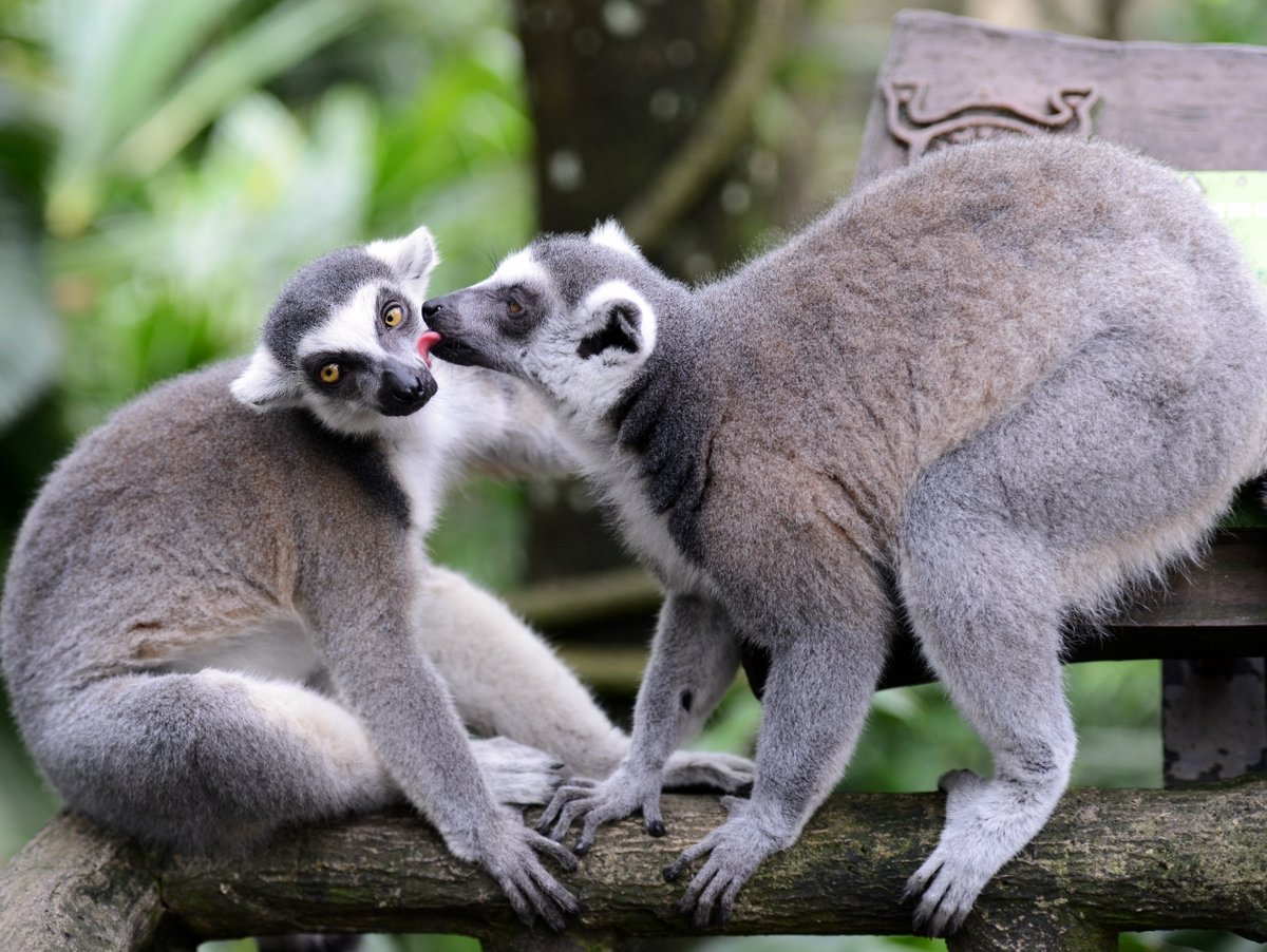 ����� � ��������� �����