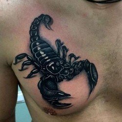тату скорпион фото