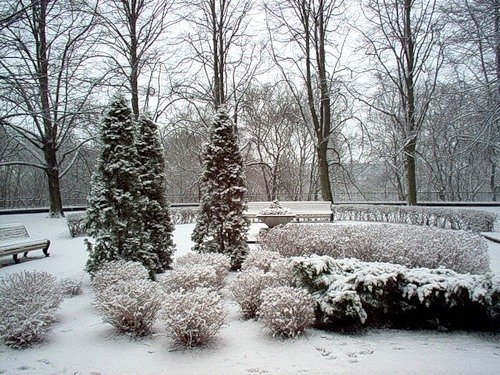 германия парк зима фото