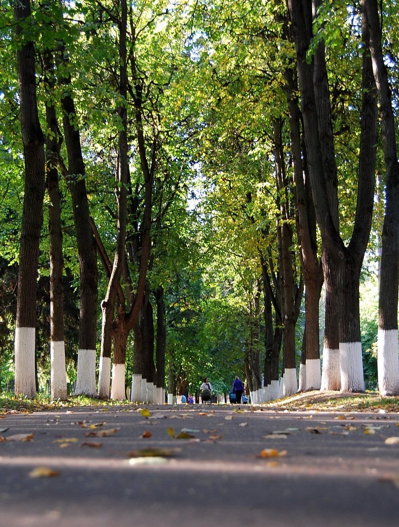 коломна парк мира фото