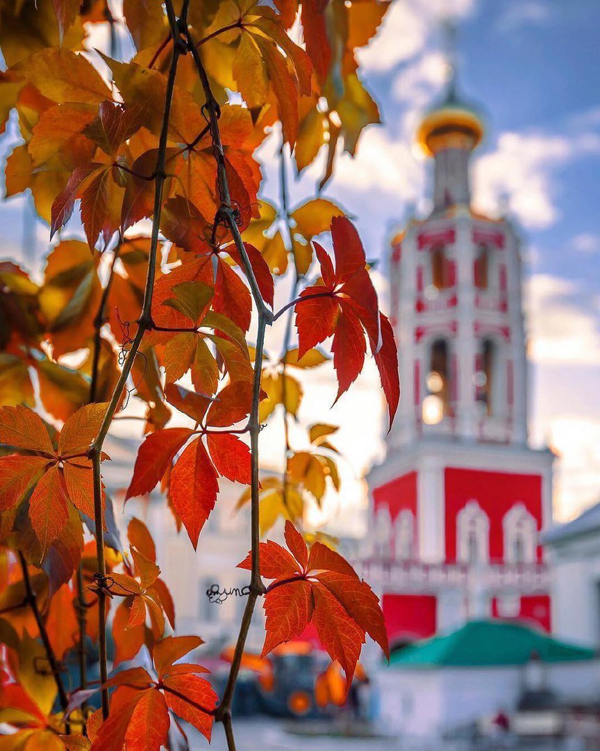 осень фото