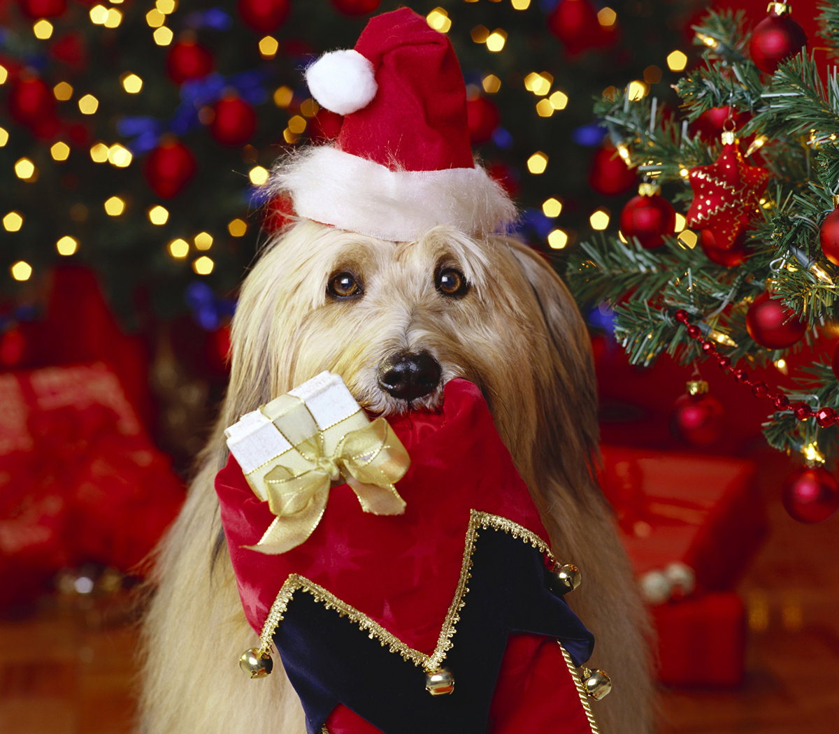 ������ � ����� ����� ��������