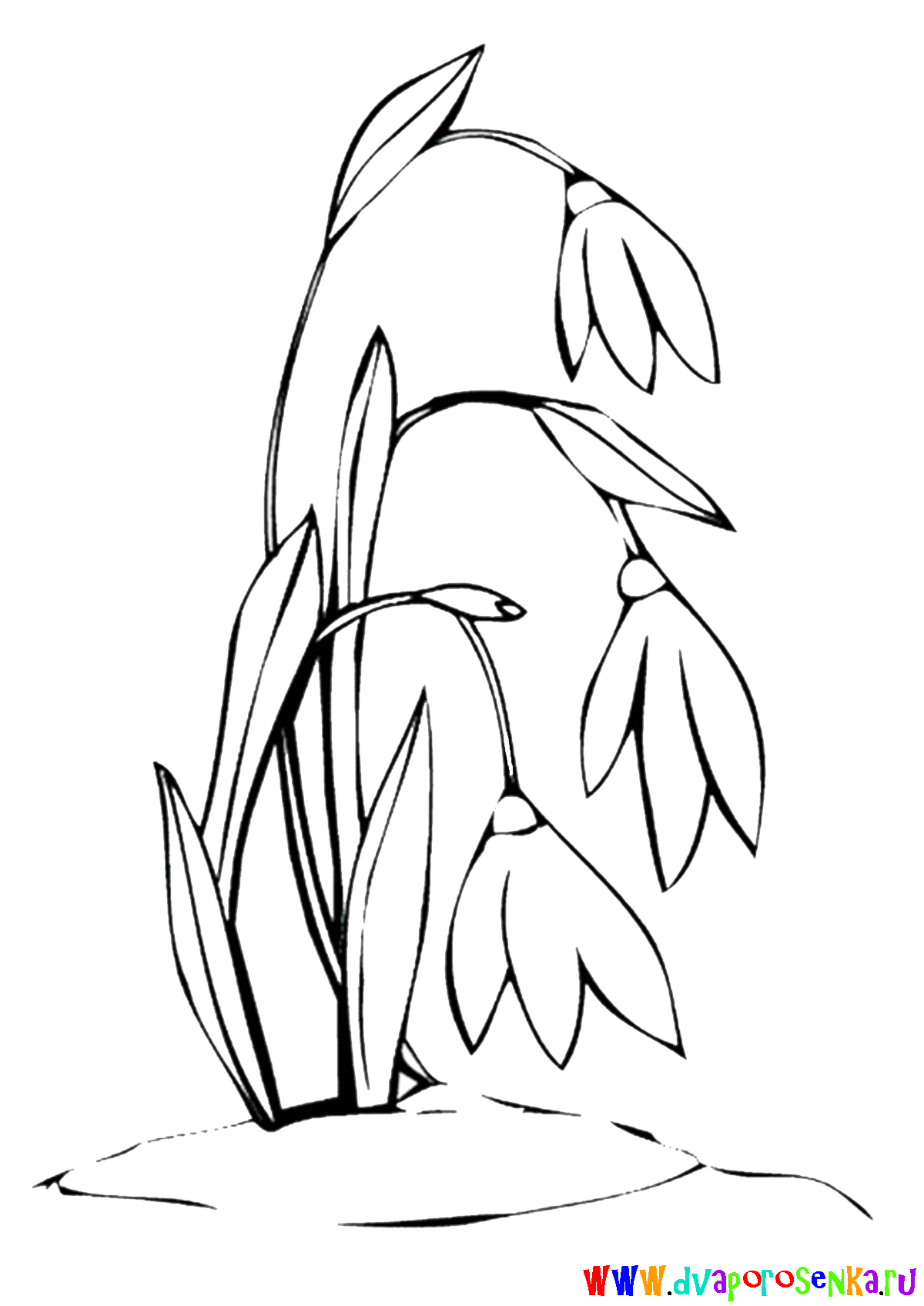 ���������, ����� �������� ����� ����� ��� �����