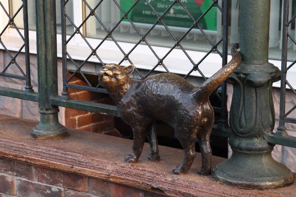 памятник коту в ярославле фото