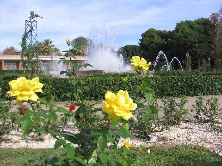 на фонтанной площади парка горького фото