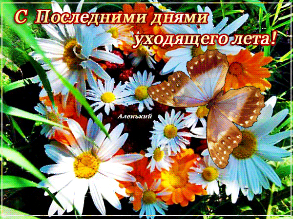 � ��������� ���� ���� �������� ���������� ��������