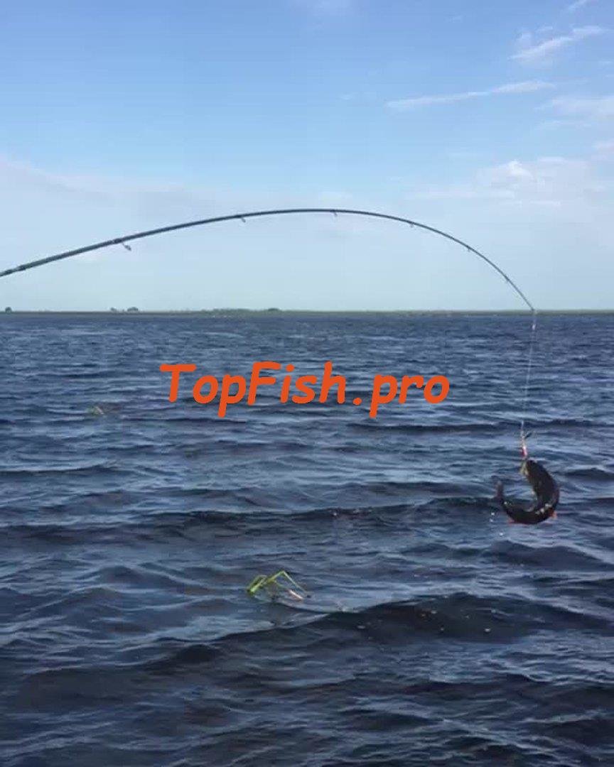 балтийское море рыбалка фото
