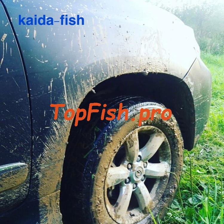 toyota rav 4 iii фото