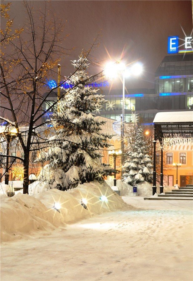 зимний ночной екб фото