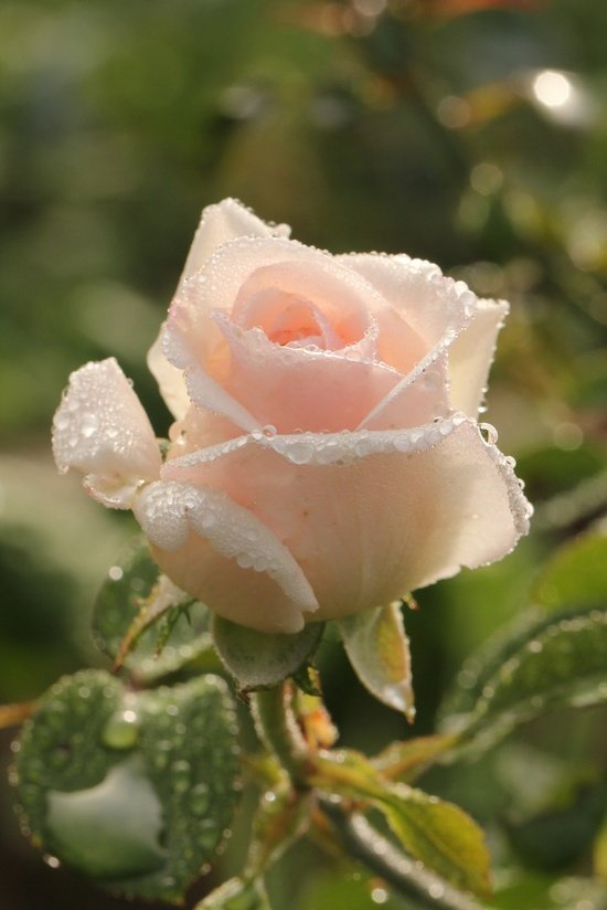 �������� ������ ������ � ����, ��������