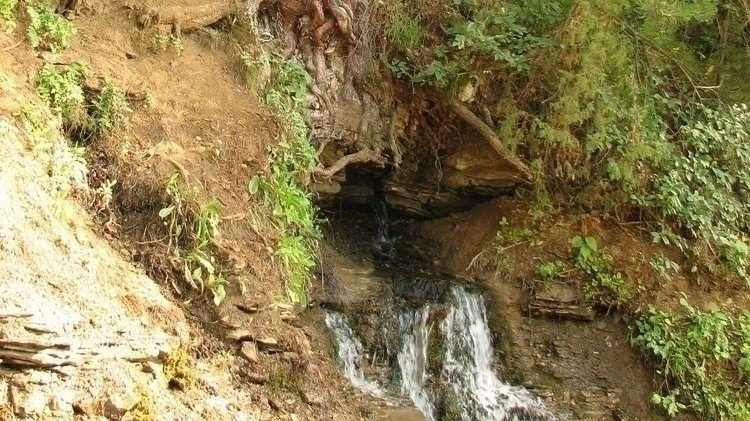 река плакун пермь фото